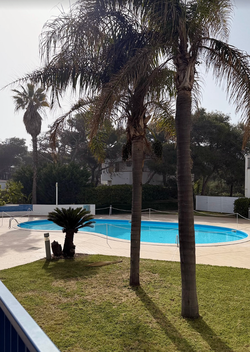 Piscina circondata da palme vista di giorno