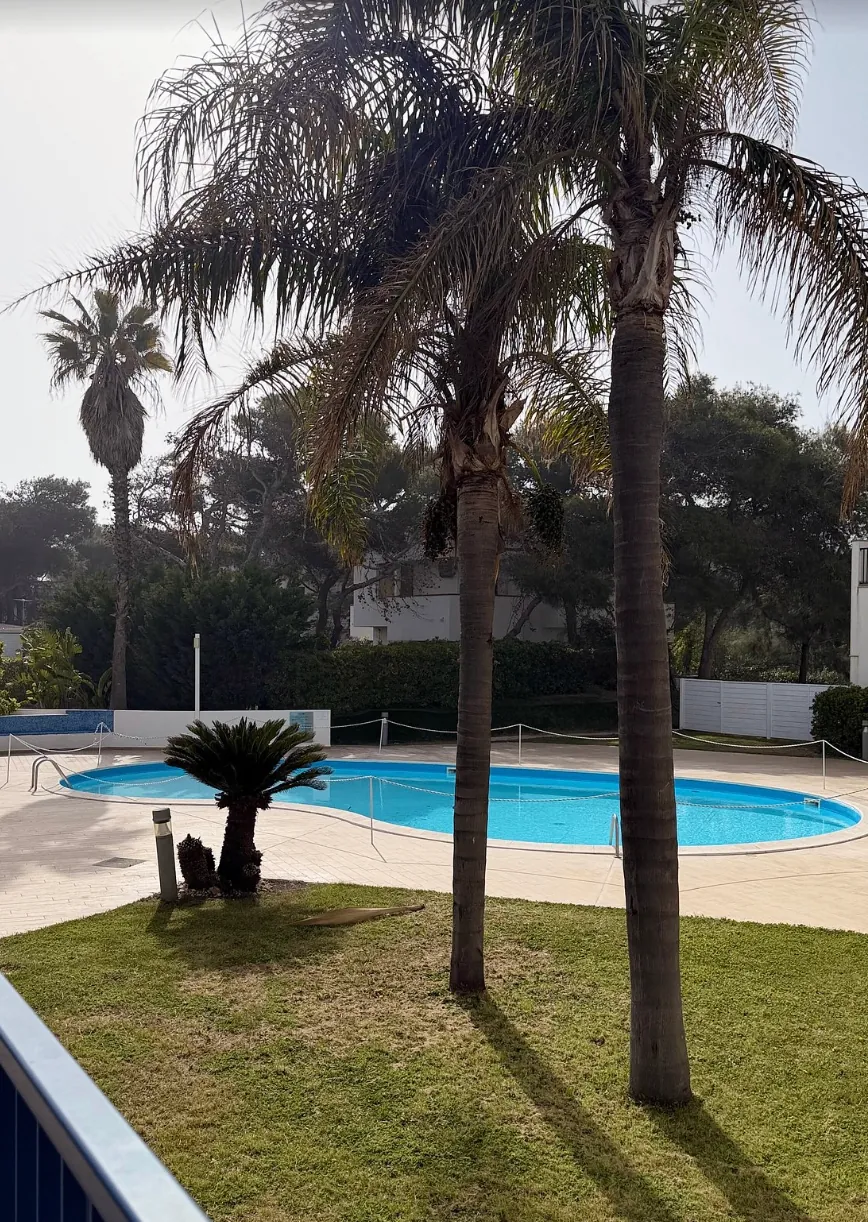 Piscina circondata da palme vista di giorno